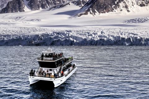 Longyearbyen: Cruise to Billefjorden & Nordenskiöld Glacier