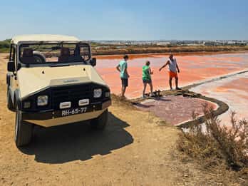 Tour privado en jeep por Tavira: salinas, naturaleza y Santa Luzia