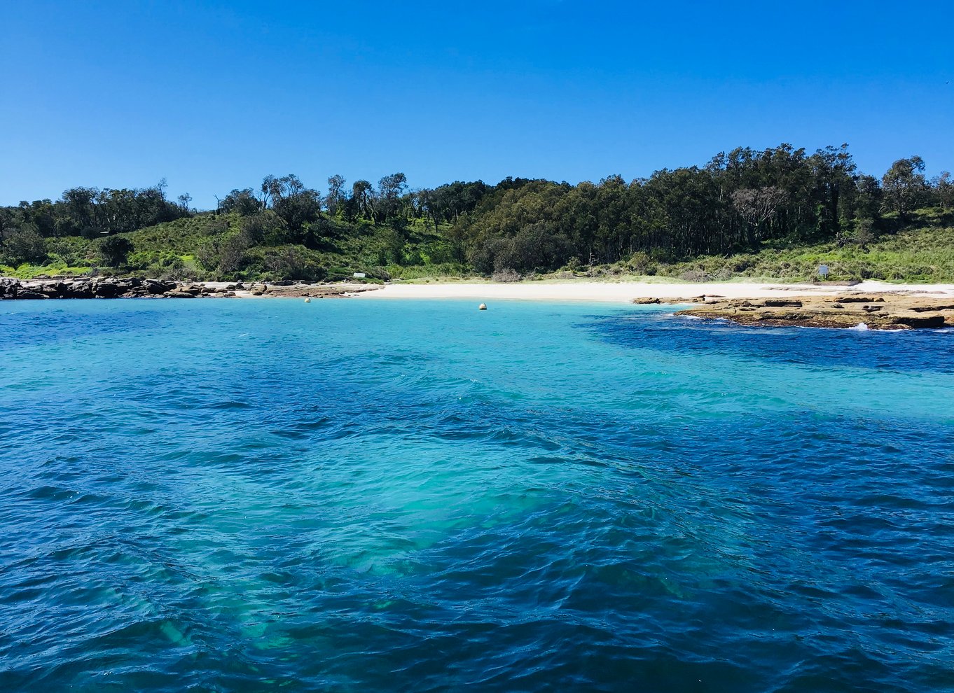 Jervis Bay: 2-timers krydstogt i Jervis Bay Passage