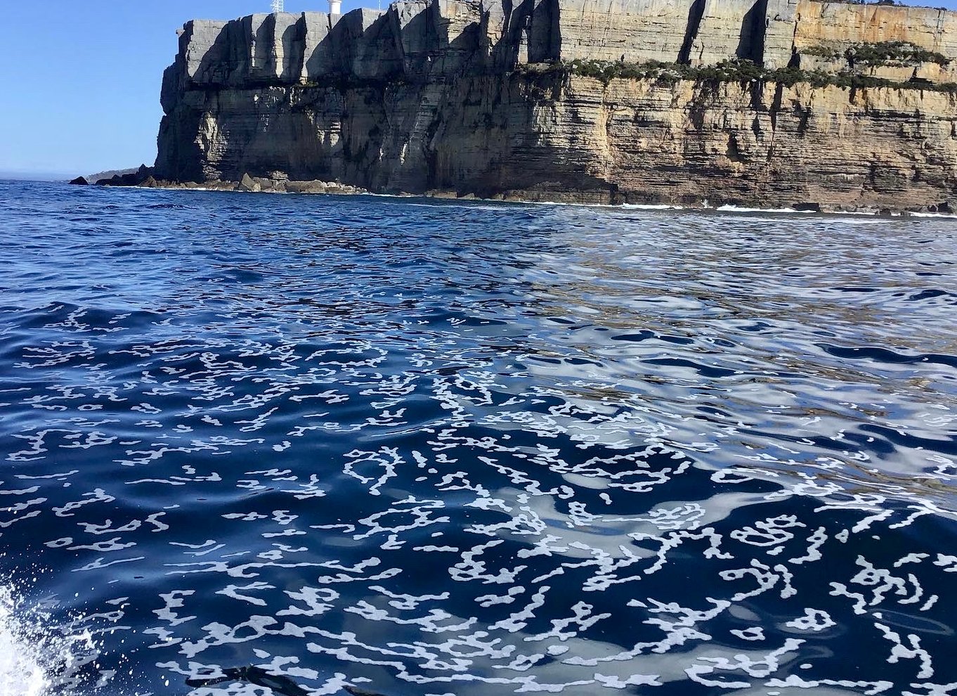 Jervis Bay: 2-timers krydstogt i Jervis Bay Passage