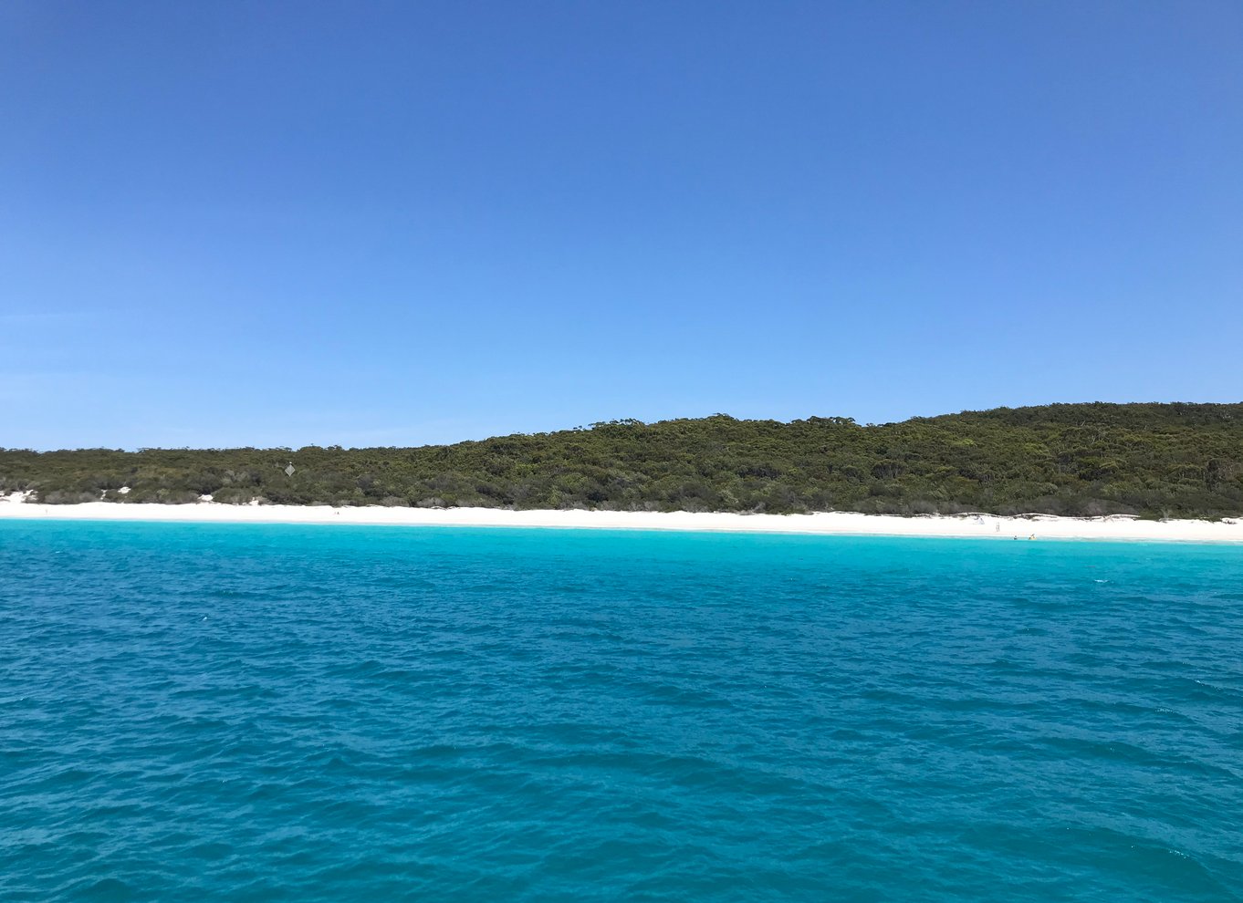 Jervis Bay: 2-timers krydstogt i Jervis Bay Passage