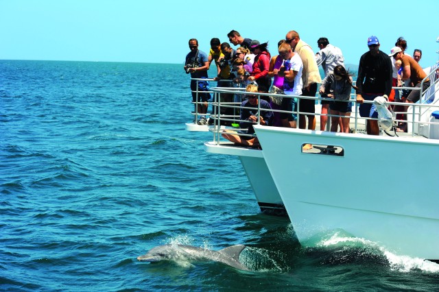 Visit Jervis Bay 1.5-Hour Dolphin Cruise in Huskisson