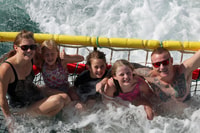 Huskisson, Dolphin Cruise & Boom Netting Experience - Housity