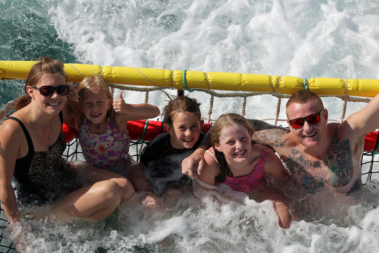 Huskisson: Dolphin Cruise & Boom Netting Experience