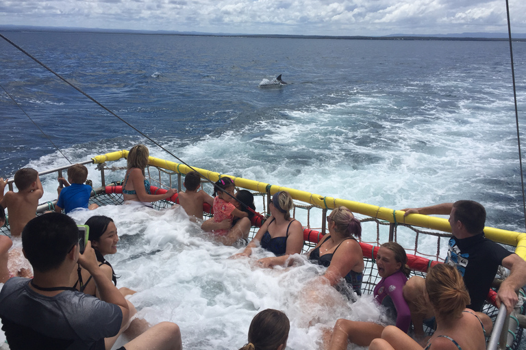 Huskisson: Dolphin Cruise & Boom Netting Experience
