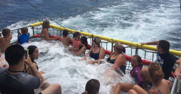 Huskisson Dolphin Cruise & Boom Netting Experience