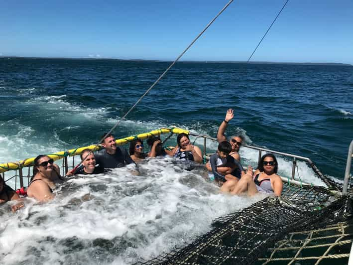 dolphin wild cruises huskisson