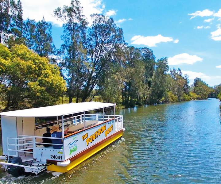 Jervis Bay: 2-Hour Sunset River Cruise