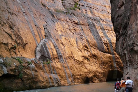 From Springdale: The Zion Narrows Hike with Lunch