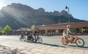 From Springdale: 4-hour Zion Canyon Bike and Hike Tour