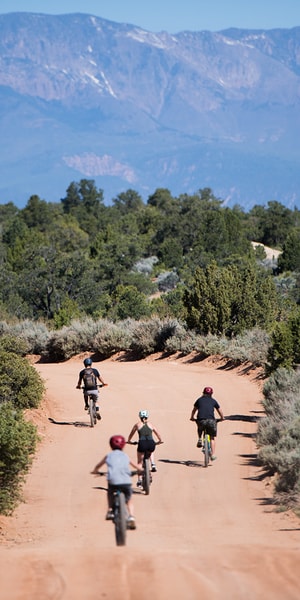 Springdale: Half-Day Mountain Biking Adventure GetYourGuide