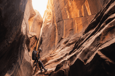 Springdale: Half-Day Canyoneering Experience