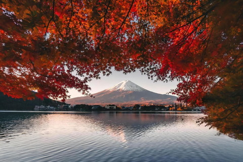 Tokio: Excursión de un día al monte Fuji y al lago Kawaguchiko digna de Instagram