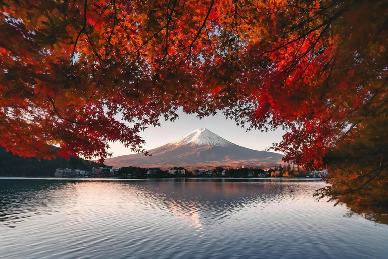 Tokyo : Excursion d&#039;une journée au Mont Fuji et au lac Kawaguchiko digne d&#039;Instagram