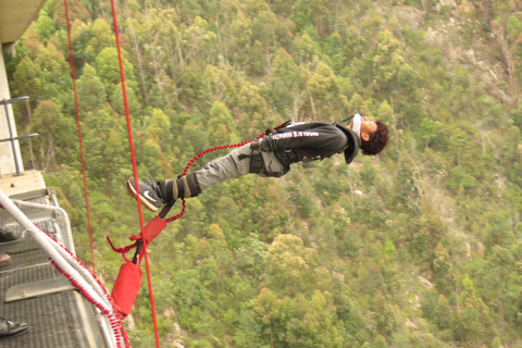 Plettenberg Bay: Jump/Winch-Ride & Skywalk Tour Experience