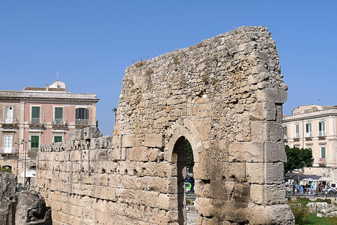 Desde Catania: tour cultural e histórico de Siracusa y Noto