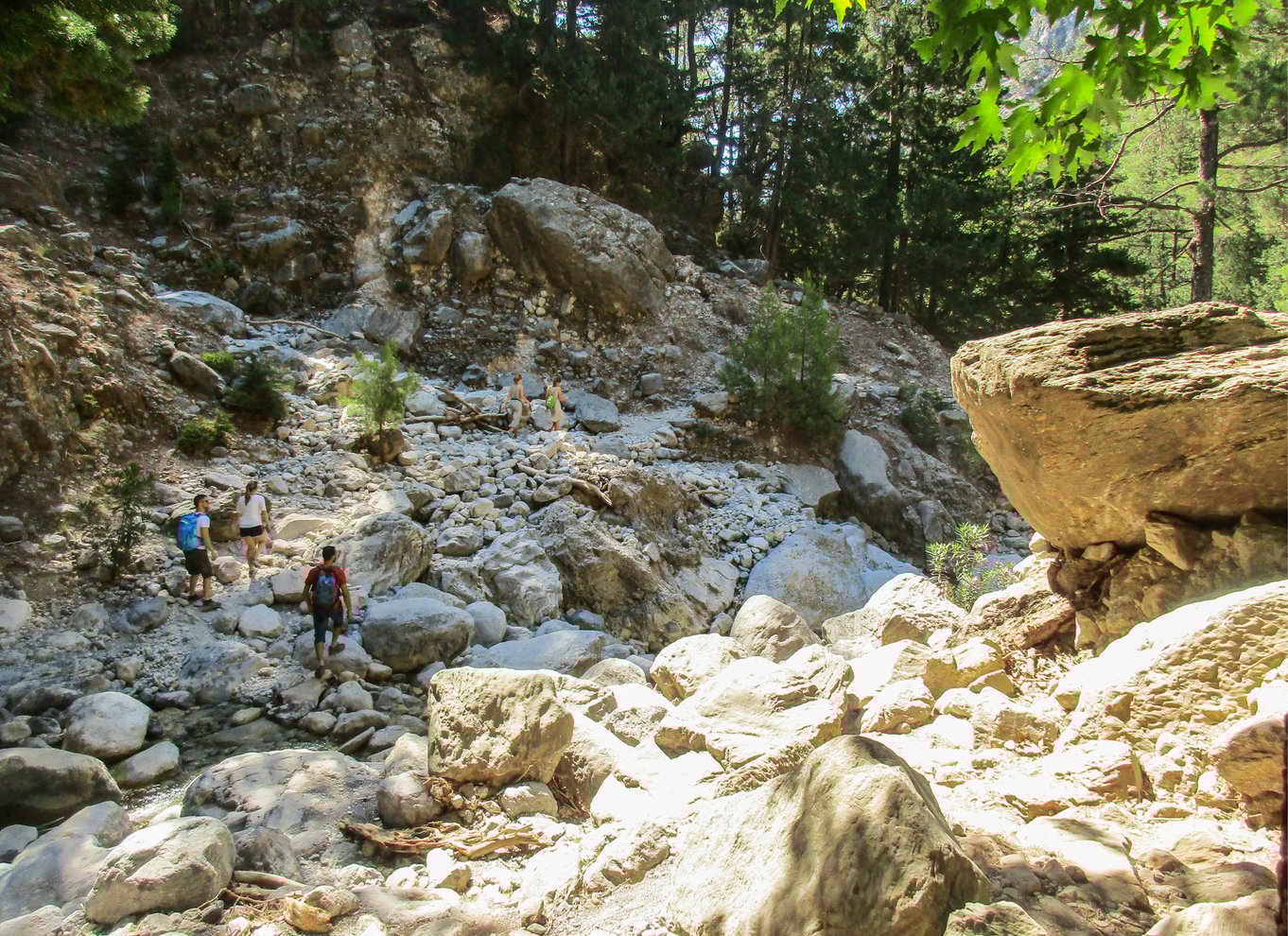 Fra Chania: Heldagsudflugt i Samaria-kløften med guide