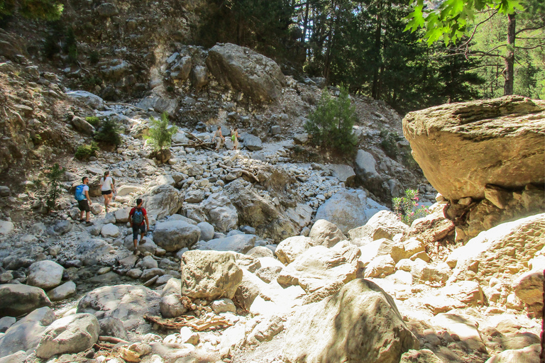 De Chania: Caminhada de 1 Dia à Garganta de SamariáDe Kalyves ou Almyrida