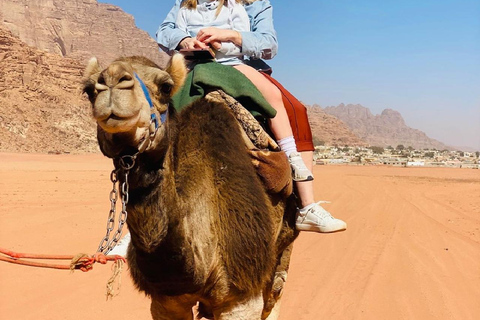 Wadi Rum: 2-Day Desert Tour with Camp Stay & Meals & Hiking