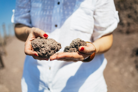 From Naples: All-Inclusive Mount Vesuvius Half-Day Tour From Naples Hotel at 2pm