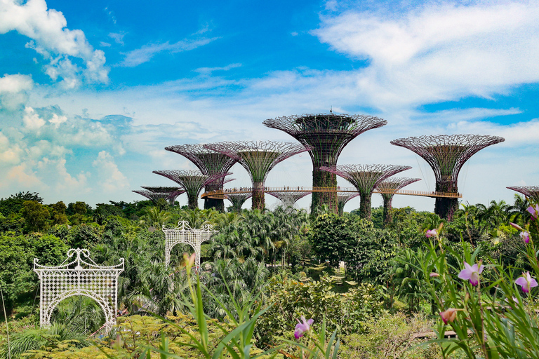 Singapore: Private Customizable Tour with a Local Host 8-Hour Tour