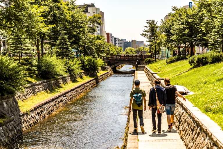 Sapporo: Personalized Experience with a Local 8-Hour Tour