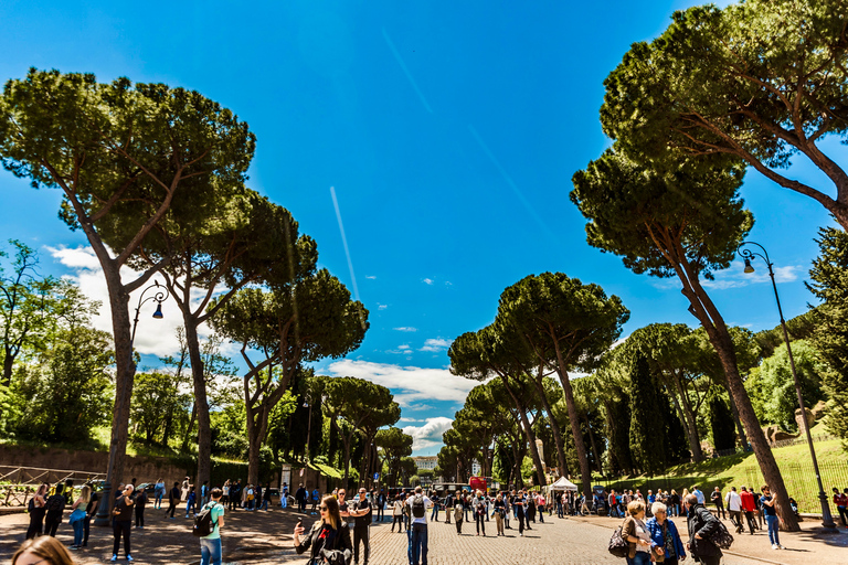 Roma: tour privado y personalizado de 2 horas