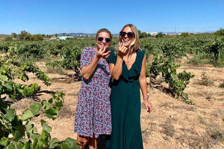 Från Valencia: Utiel-Requena vinresa och traditionell lunchFrån Valencia: Utiel Requena vinresa och traditionell lunch