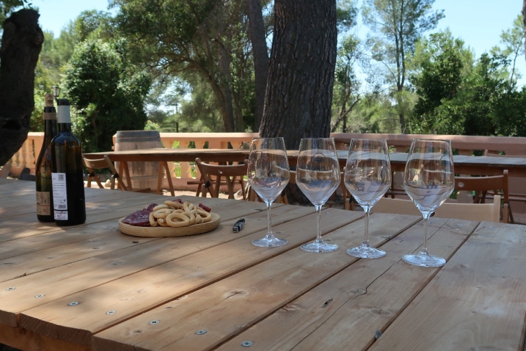 De Valence: visite du vin Utiel-Requena et déjeuner traditionnelDe Valence: visite viticole Utiel Requena et déjeuner traditionnel
