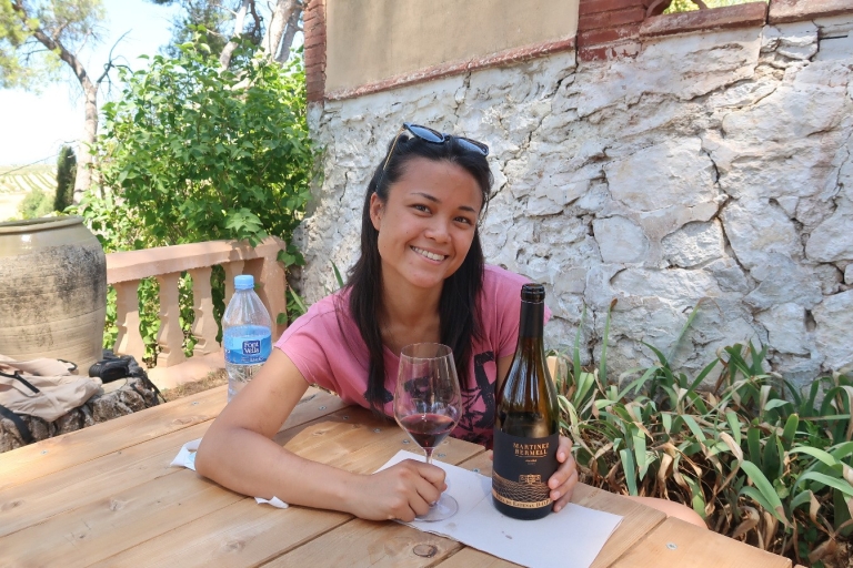Z Walencji: wycieczka po winach Utiel-Requena i tradycyjny lunchZ Walencji: Utiel Requena Wine Tour i tradycyjny lunch