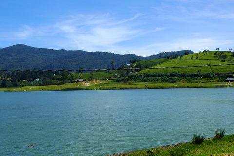 Nuwara Eliya To Ella With Pure Magical Mountain Way Kandy To Ella drop-off (Optional Nanuoya train ride)