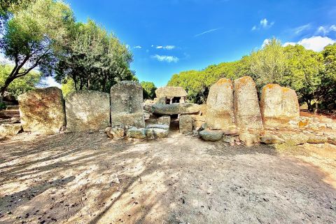 From Olbia: Sardinia Archaeological Tour