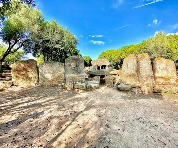 Journey Through Time - Discover Sardinia's Ancient Treasures