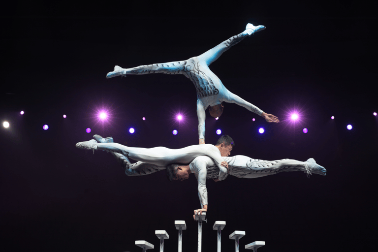 Beijing: Red Theatre Acrobatics show viewing Chinese cultureRed Theatre Acrobatics show （middle 11-22 Rows）