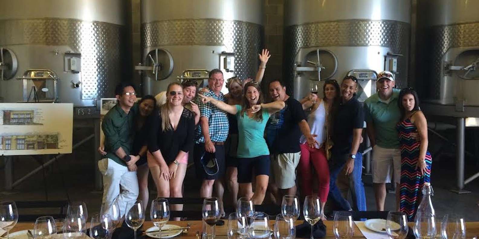Napa Valley wine tour — vineyards and wine tasting — image 6
