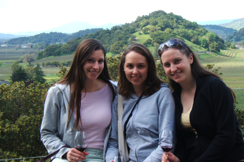 Napa Valley: Guided Wine Tour with Picnic Lunch