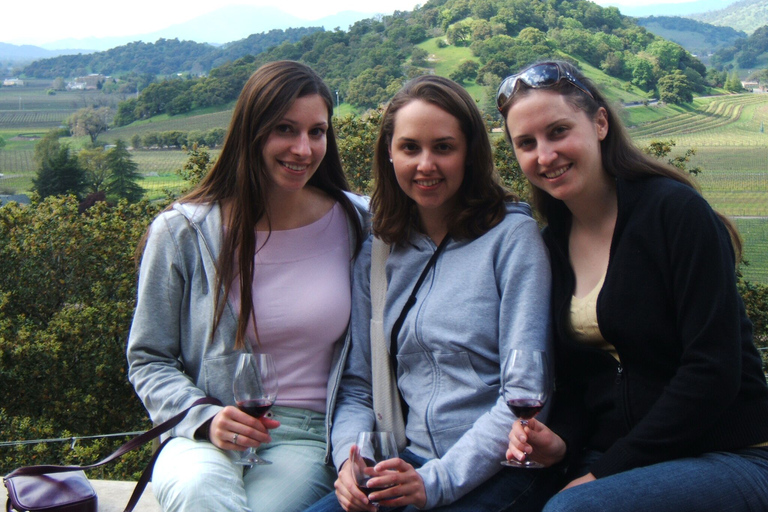 Napa Valley: Guided Wine Tour with Picnic Lunch