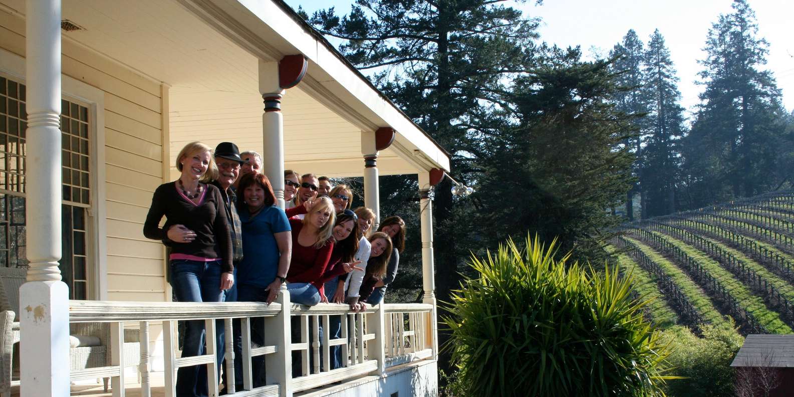 Napa Valley wine tour — vineyards and wine tasting — image 5