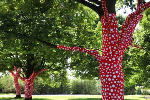 New York Botanical Garden: KUSAMA Garden Pass Ticket