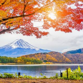 Desde Tokio: Excursión de un día por el Monte Fuji y Hakone con crucero turístico