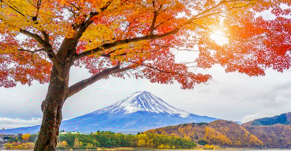From Tokyo: Full-Day Mount Fuji and Hakone Tour with Sightseeing Cruise