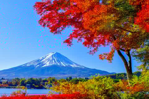 From Tokyo: Full-Day Mount Fuji and Hakone Tour with Sightseeing Cruise and Lunch