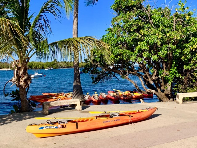 Visit Fajardo Bioluminescent Lagoon Kayak or Full Moon Kayak Tour in Ceiba, Puerto Rico