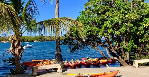 Fajardo: Bioluminescent Lagoon Kayak or Full Moon Kayak Tour
