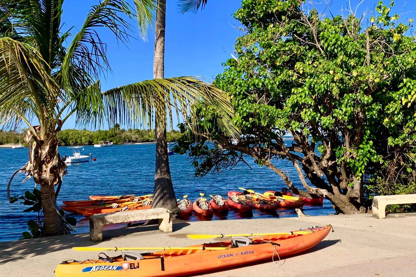 things to do in fajardo puerto rico | kayak across a bioluminescent lagoon