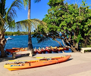 Fajardo: Bioluminescent Lagoon Kayak or Full Moon Kayak Tour