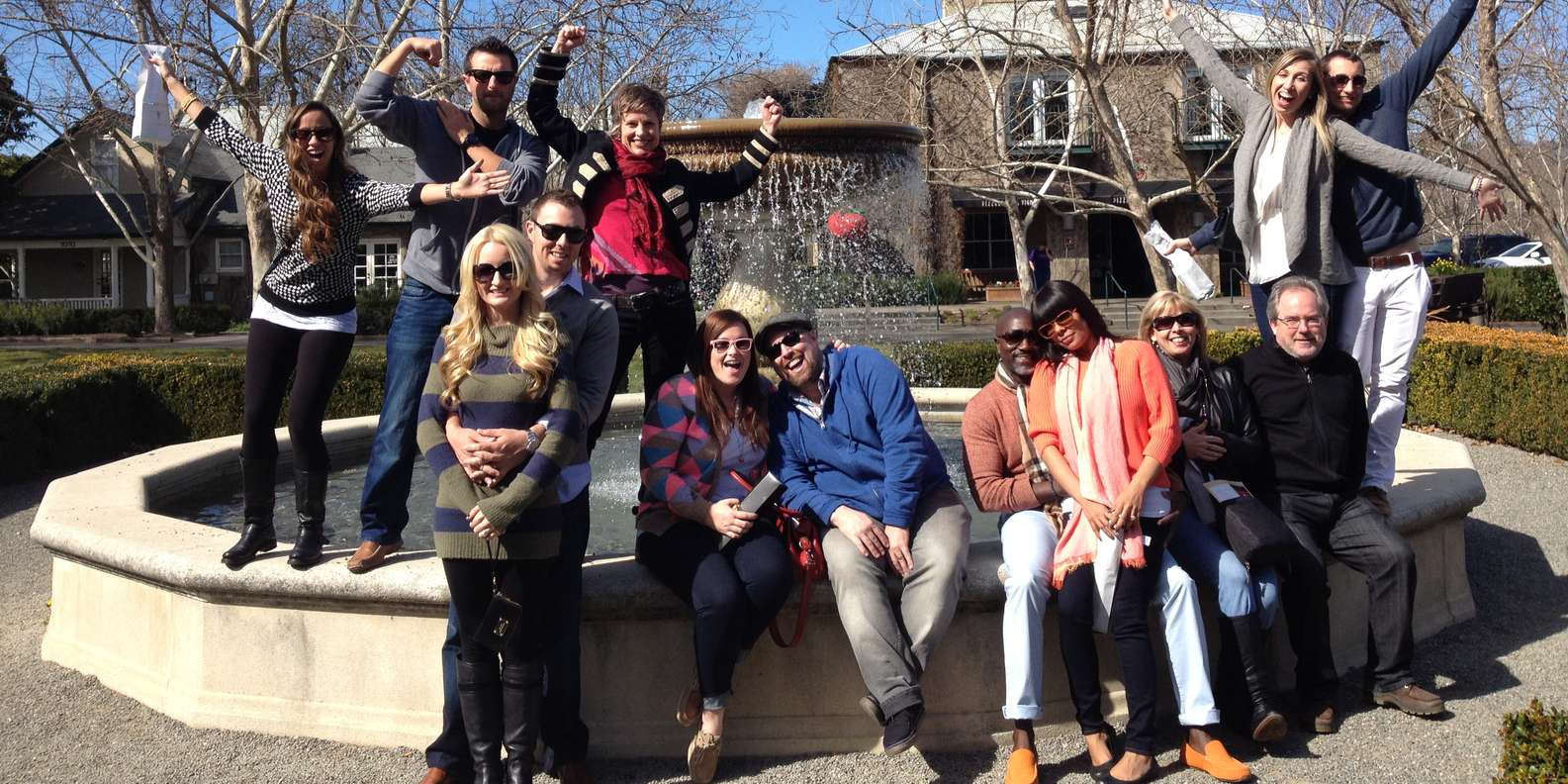 Napa Valley wine tour — vineyards and wine tasting — image 7