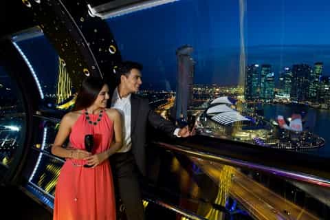 Skip-the-Line Ticket: Singapore Flyer Premium Experience