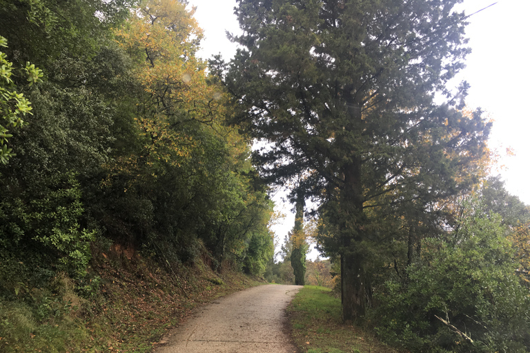 Corfu: dagtrip met kleine groepen met lunch