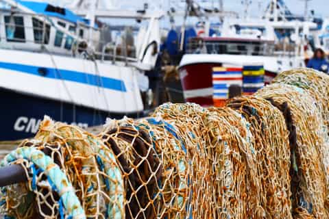 Honfleur: 1.5-Hour City Highlights Walking Tour